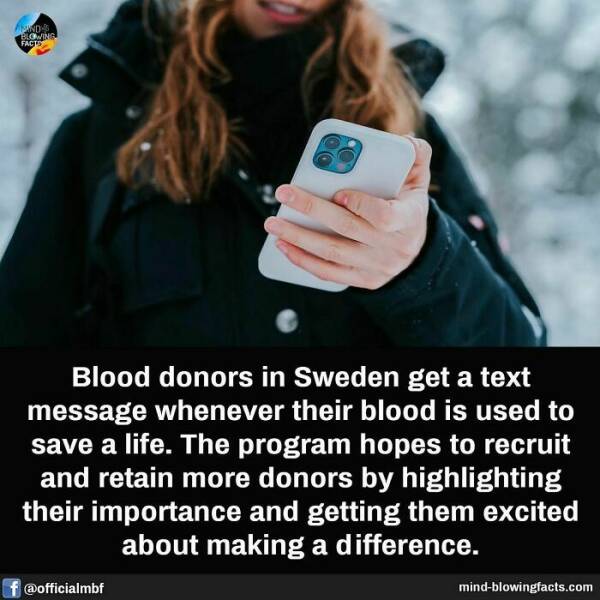 Mind-Blowing Facts You Probably Didn’t Learn In School