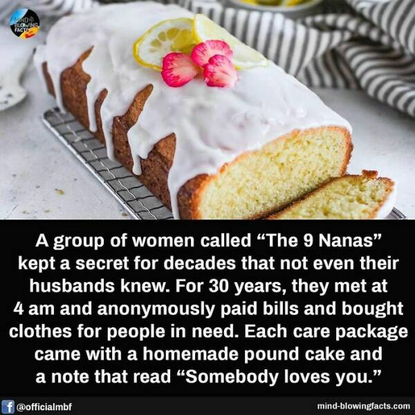 Mind-Blowing Facts You Probably Didn’t Learn In School