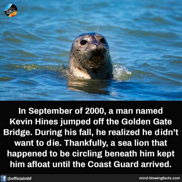 Mind-Blowing Facts You Probably Didn’t Learn In School