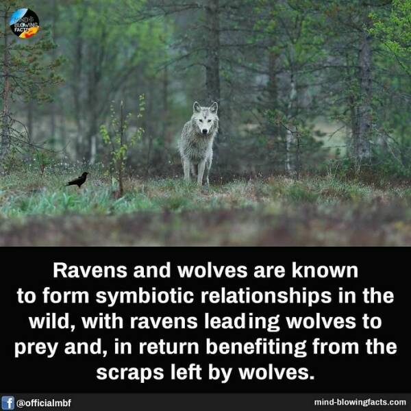 Mind-Blowing Facts You Probably Didn’t Learn In School