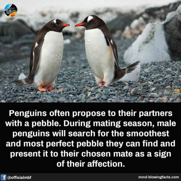 Mind-Blowing Facts You Probably Didn’t Learn In School