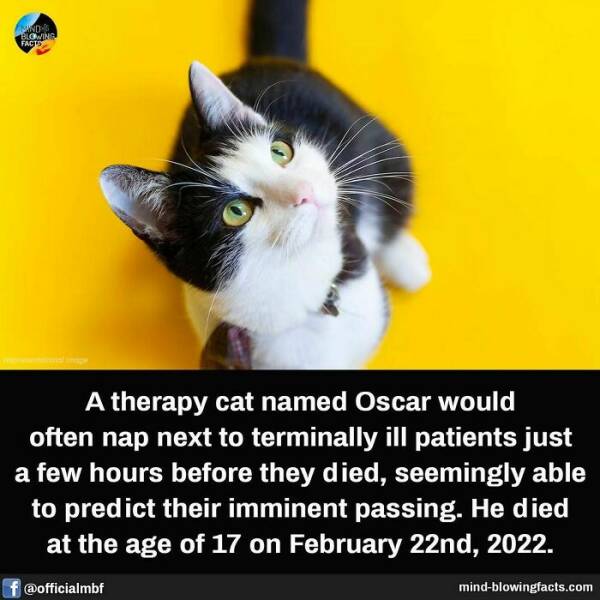 Mind-Blowing Facts You Probably Didn’t Learn In School