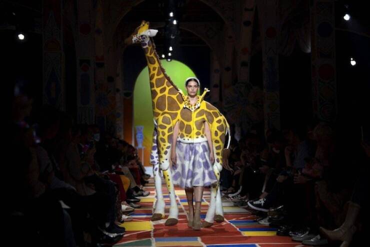 Outfits So Bad, It’s Basically A Crime Scene Outfits So Bad, It’s Basically A Crime Scene