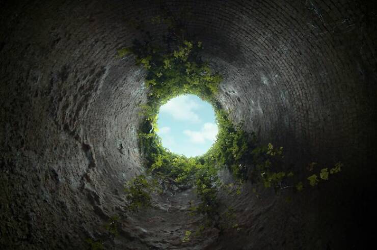 The Dumbest Myths Even Intelligent Folks Keep Believing