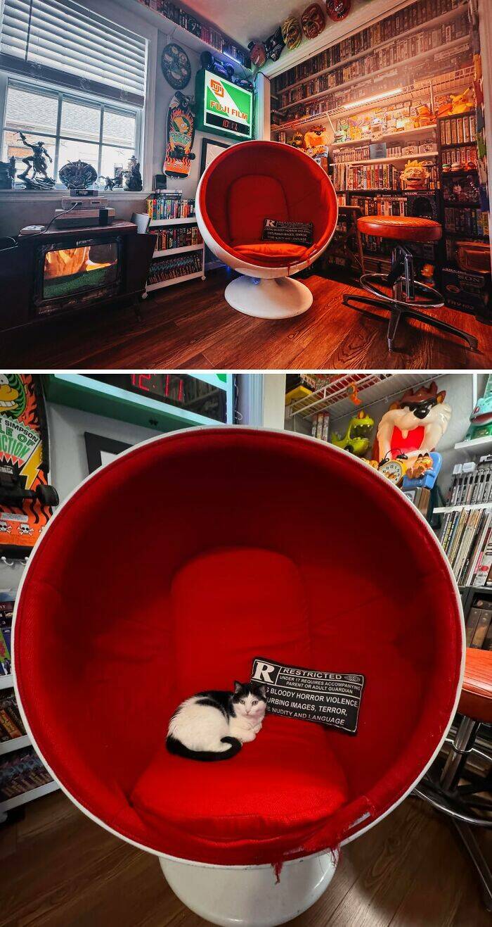 Timeless Mid-Century Pieces That Still Feel Fresh Timeless Mid-Century Pieces That Still Feel Fresh