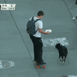 https://img.izismile.com/img/img15/20250516/gifs/daily_gifdump_5004_29.gif
