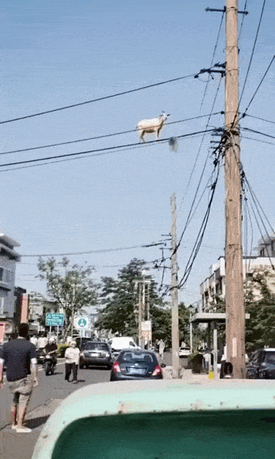 https://img.izismile.com/img/img15/20250516/gifs/daily_gifdump_5004_30.gif