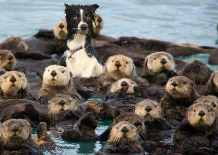 Daily Picdump