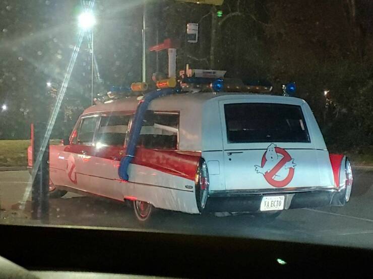 Daily Picdump