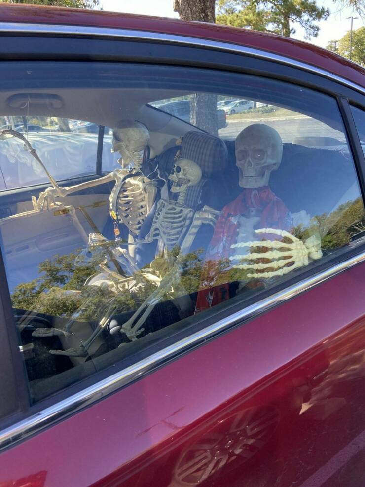 Daily Picdump