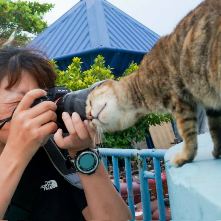 Daily Picdump