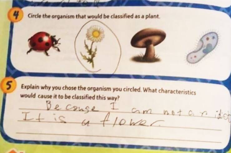 Kids Say The Test-Darnedest Things Kids Say The Test-Darnedest Things