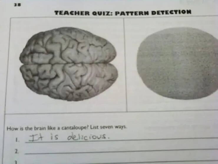 Kids Say The Test-Darnedest Things Kids Say The Test-Darnedest Things