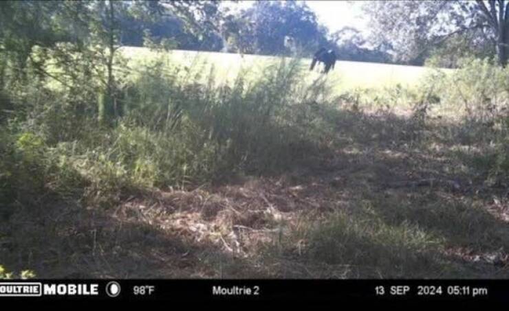 Nature-Defying Pics Youve Never Seen Before