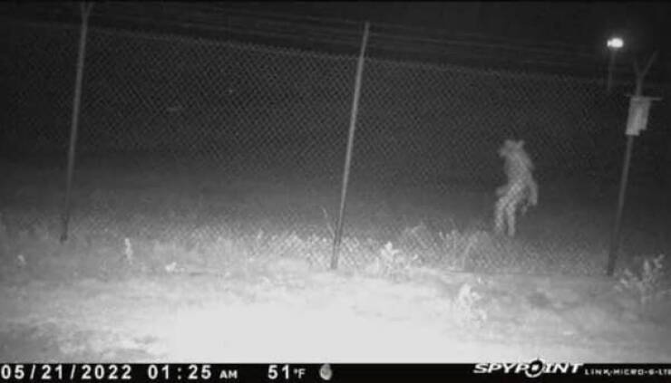 Nature-Defying Pics Youve Never Seen Before