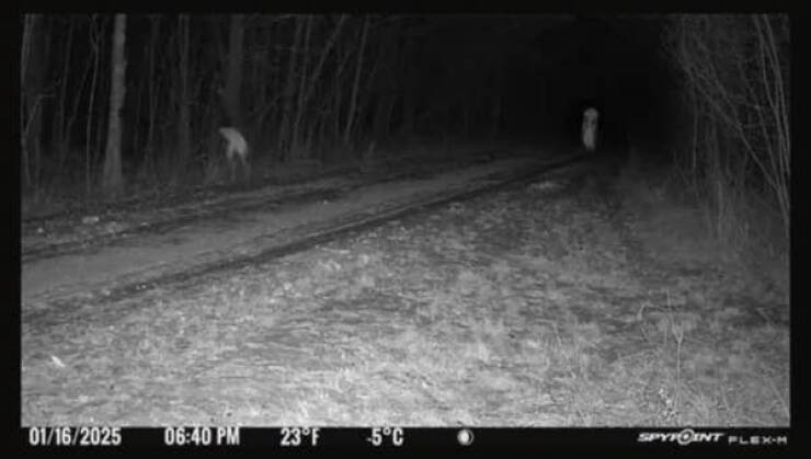 Nature-Defying Pics Youve Never Seen Before