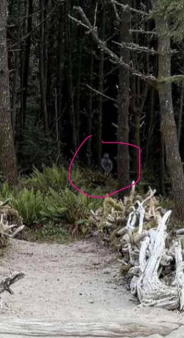 Nature-Defying Pics Youve Never Seen Before