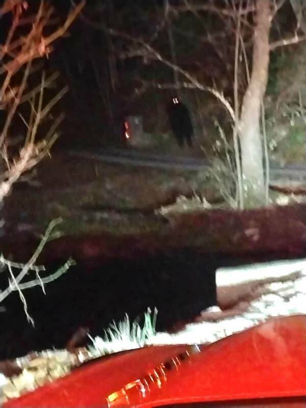 Nature-Defying Pics Youve Never Seen Before