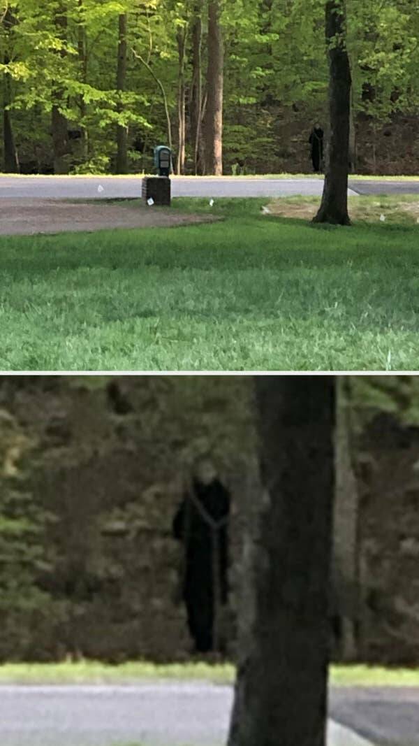 Nature-Defying Pics Youve Never Seen Before