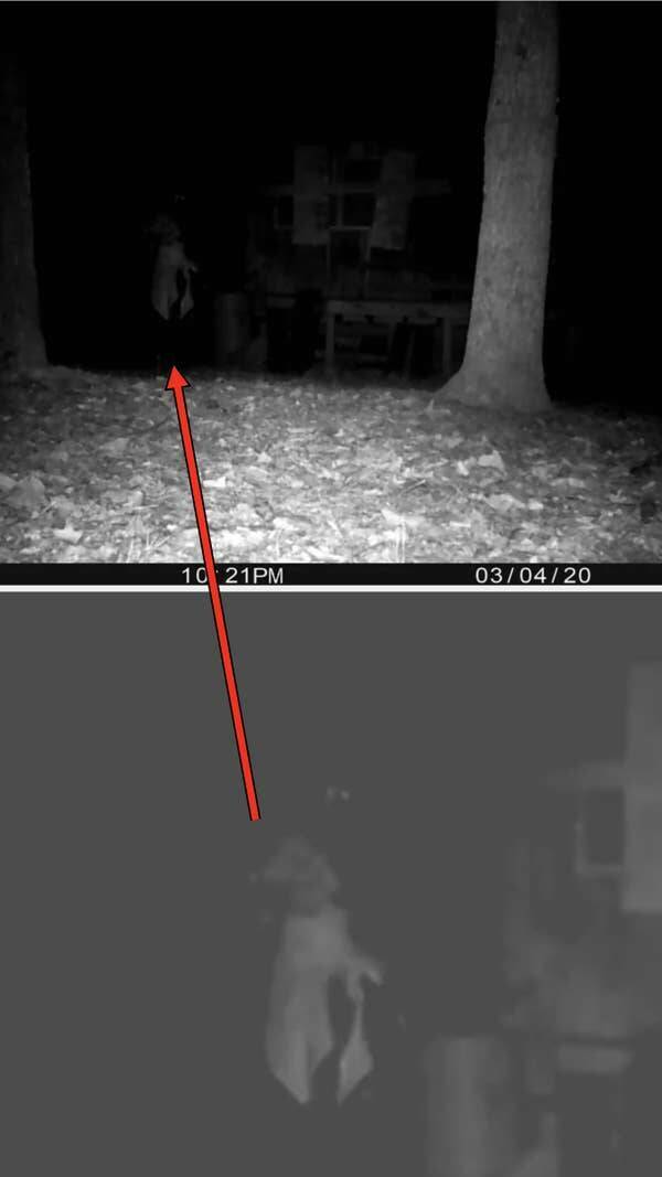 Nature-Defying Pics Youve Never Seen Before