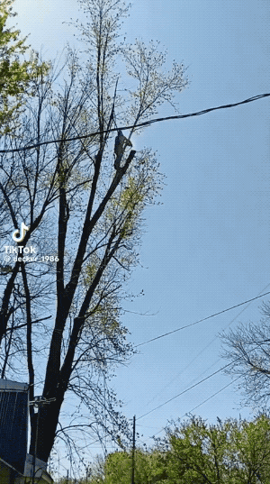 Seriously, What Is Even Happening Right Now?