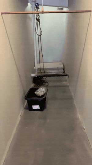 Seriously, What Is Even Happening Right Now?