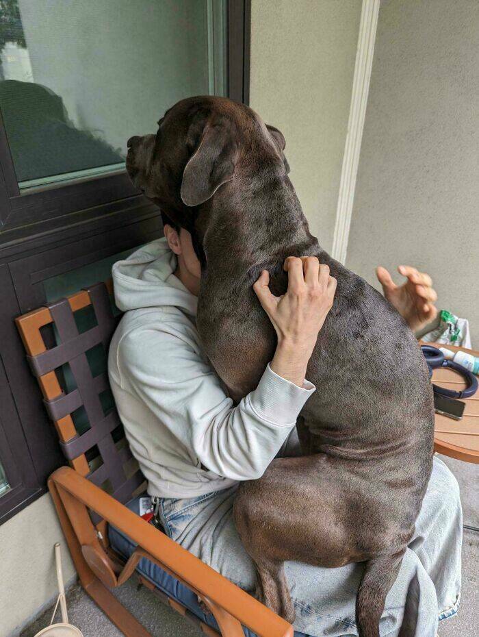 Beasts on a Mission to Confuse Everyone