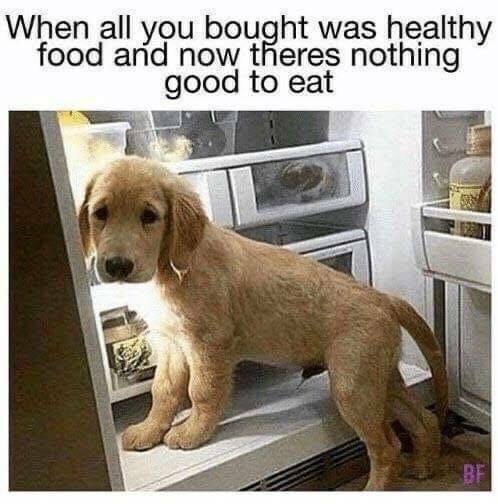 Funny Picdump Funny Picdump