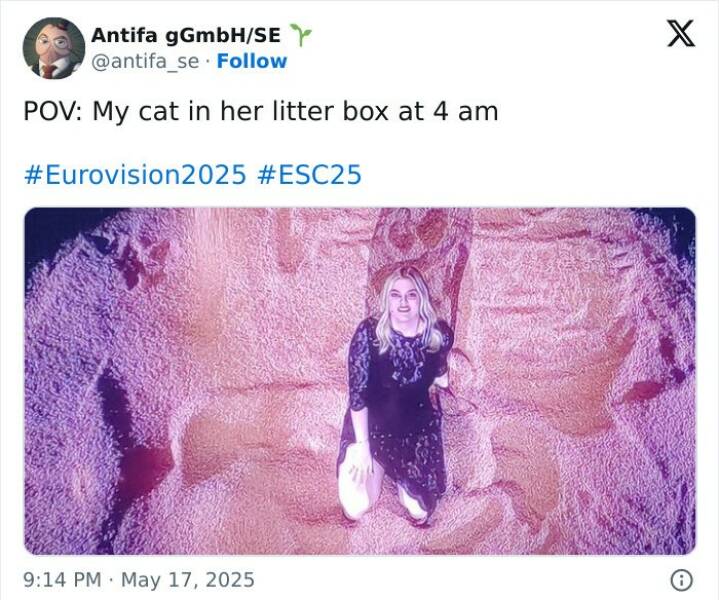 Hilarious Eurovision Memes From Fans Who Need Therapy After That Chaos