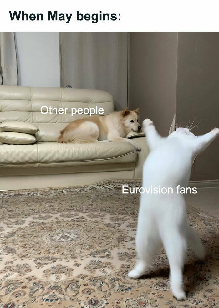 Hilarious Eurovision Memes From Fans Who Need Therapy After That Chaos
