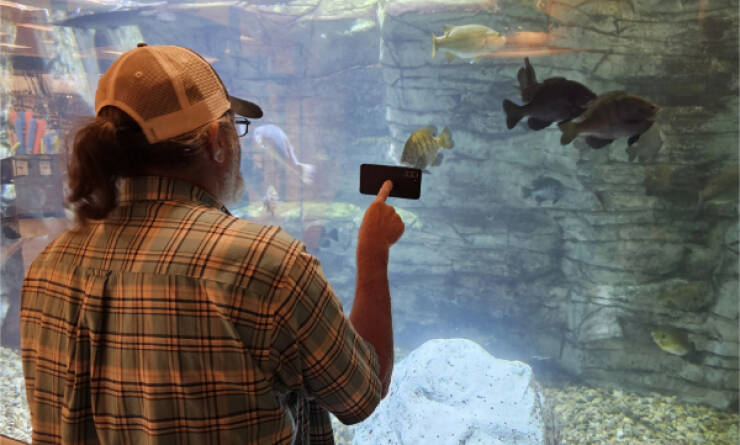 Little Moments, Big Smiles