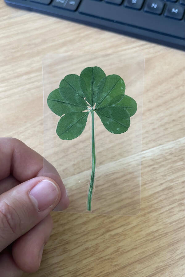 Little Moments, Big Smiles