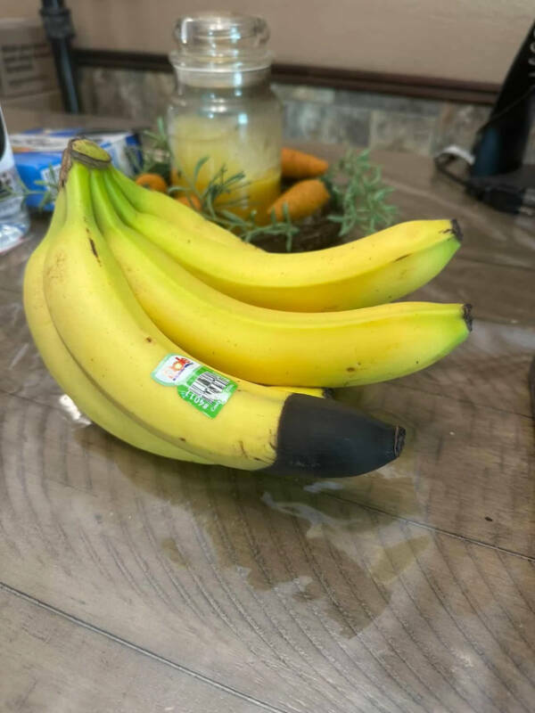 Little Moments, Big Smiles