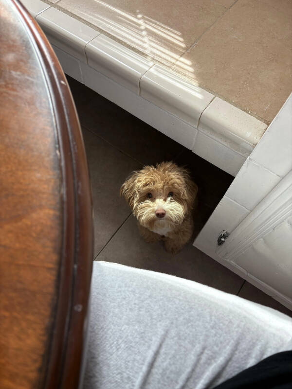 Little Moments, Big Smiles