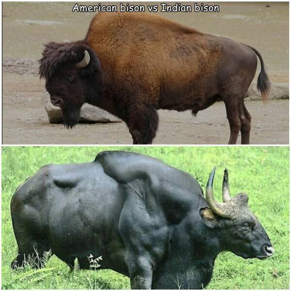 Daily Picdump Daily Picdump