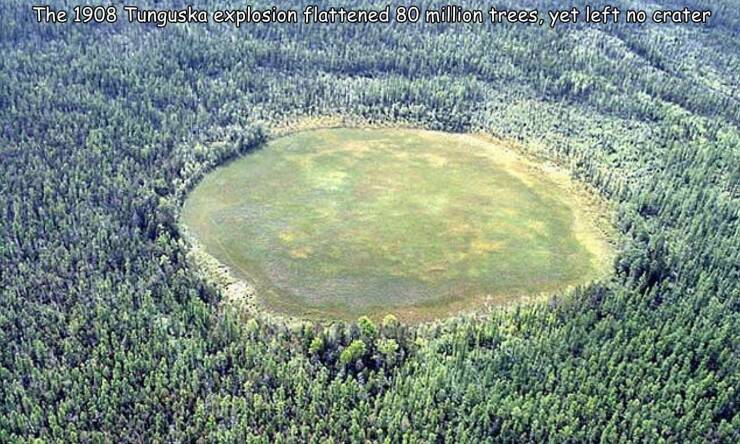 Daily Picdump Daily Picdump