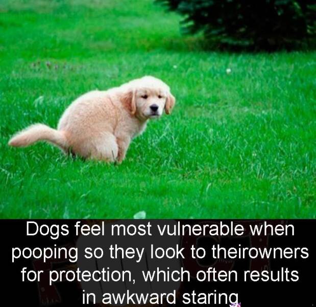 Daily Picdump Daily Picdump