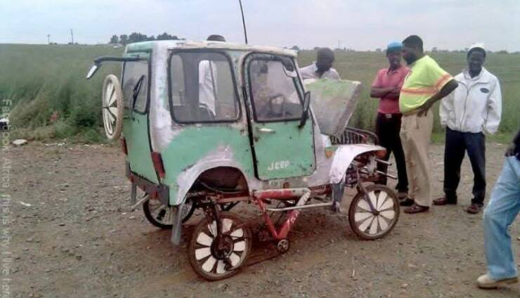 Daily Picdump Daily Picdump