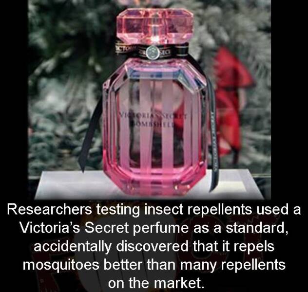 Daily Picdump Daily Picdump