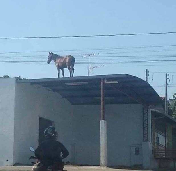 Daily Picdump Daily Picdump