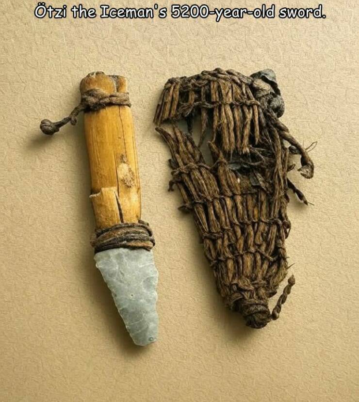 Daily Picdump Daily Picdump