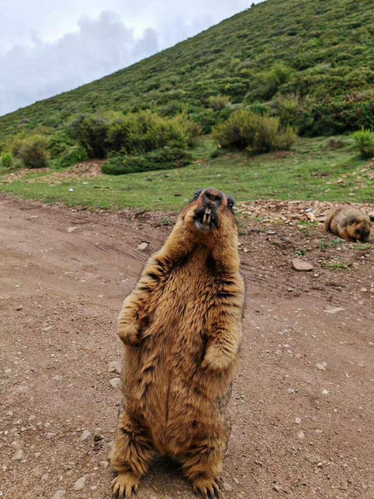 Daily Picdump Daily Picdump