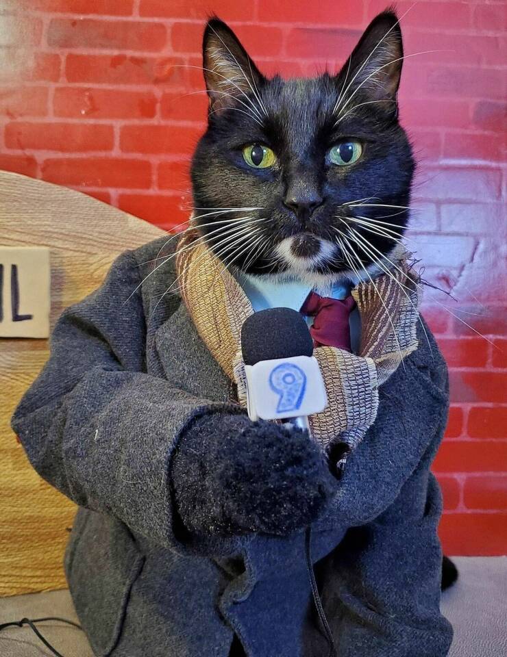 Daily Picdump Daily Picdump