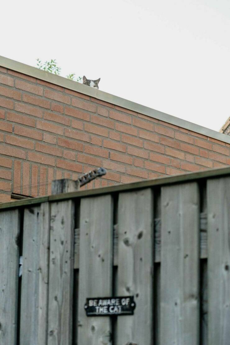 Daily Picdump Daily Picdump