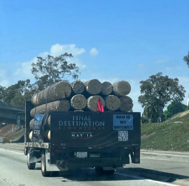 I’ve Seen Too Much — Logging Off Now