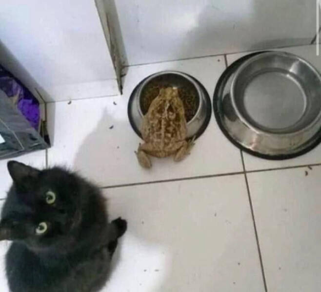 I’ve Seen Too Much — Logging Off Now