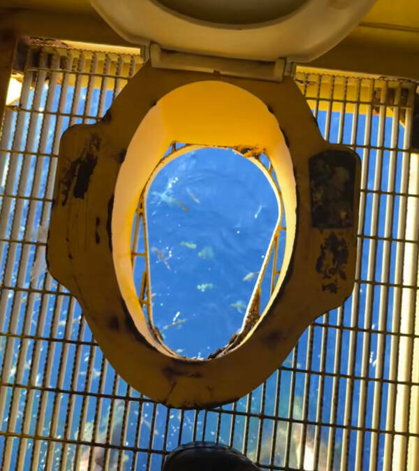 I’ve Seen Too Much — Logging Off Now