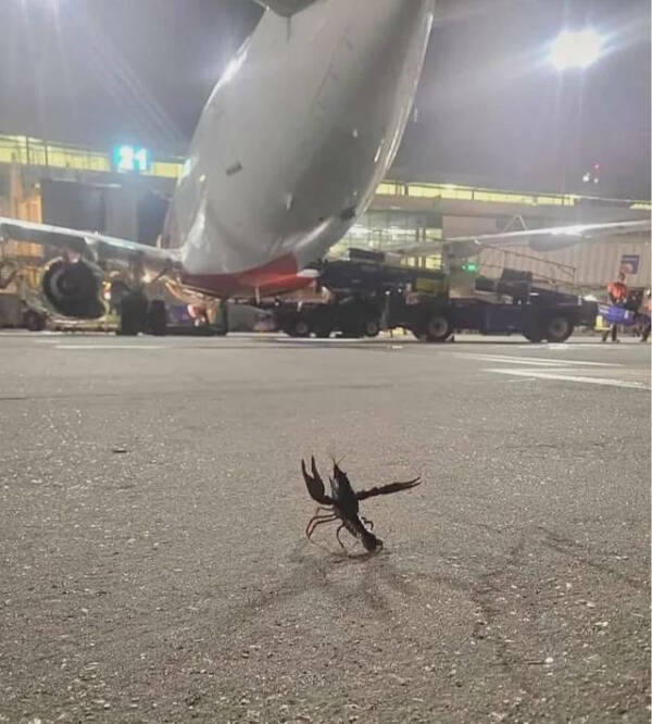 I’ve Seen Too Much — Logging Off Now