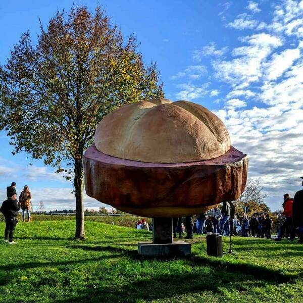 Morning Picdump Morning Picdump