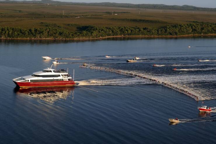 Morning Picdump Morning Picdump